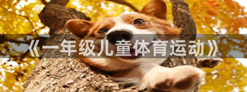 vsport体育官方正版app开户:《一年级儿童体育运动》