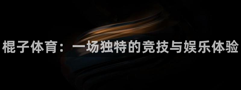 vsport体育官方正版app神州:棍子体育:一场独特的竞技