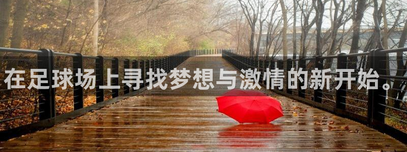 德国vsport体育官方正版app集团:在足球场上寻找梦想与