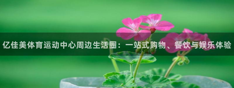 vsport体育官方正版app娱乐是那个系列的台子:亿佳美体