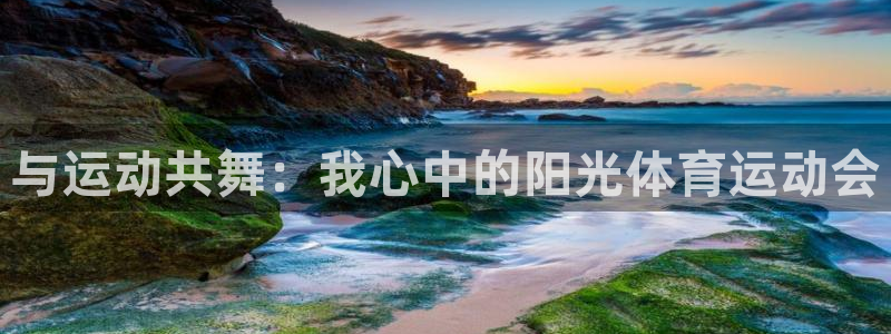 海南vsport体育官网下载发展怎么样:与运动共舞:我心中的